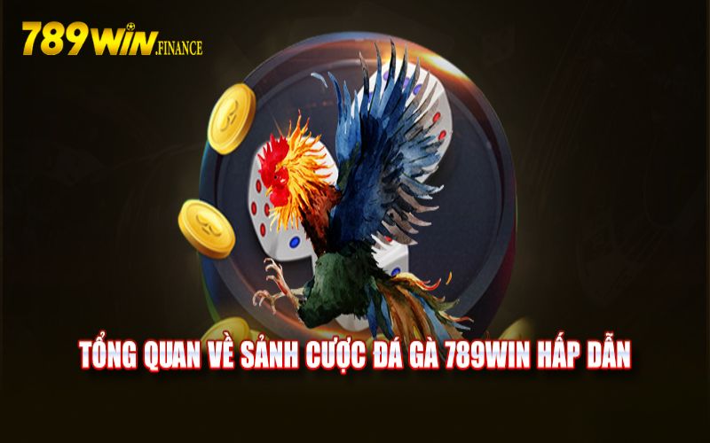 Những ưu điểm nổi bật tại sảnh đá gà của 789win